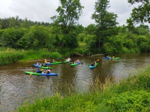 IMG_20230618_113556