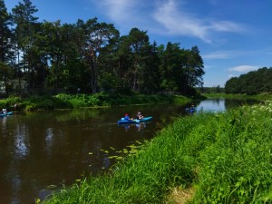 IMG_20240629_112828